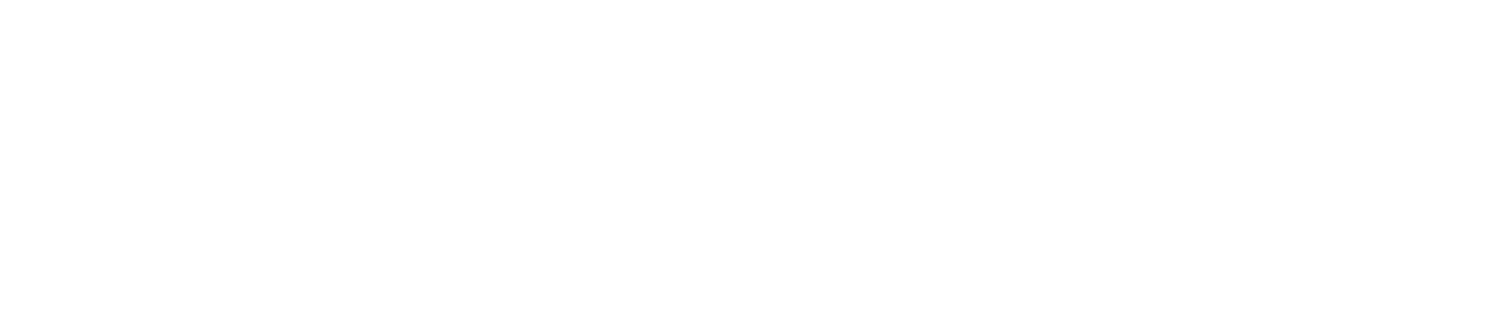 The Jet Whisperer logo